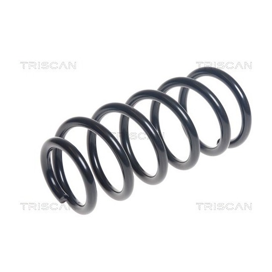 8750 11272 - Coil Spring 