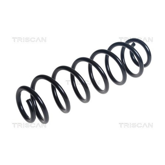 8750 29504 - Coil Spring 