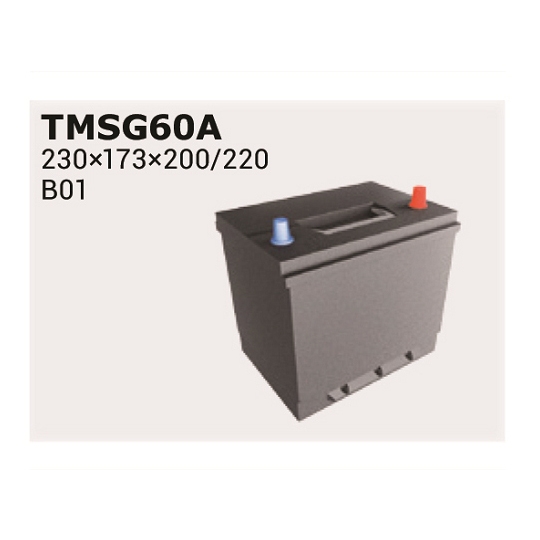 TMSG65A - Starter Battery 