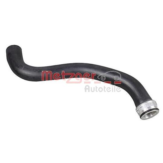 2421179 - Radiator Hose 