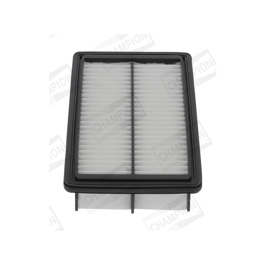 CAF101266P - Air filter 