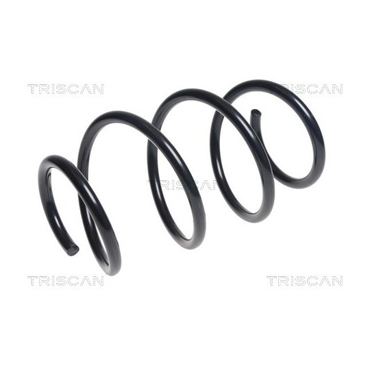 8750 42109 - Coil Spring 