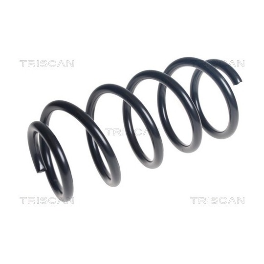 8750 29532 - Coil Spring 