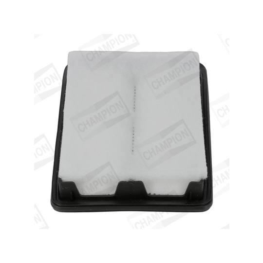 CAF101392P - Air filter 