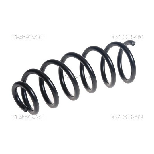 8750 25140 - Coil Spring 