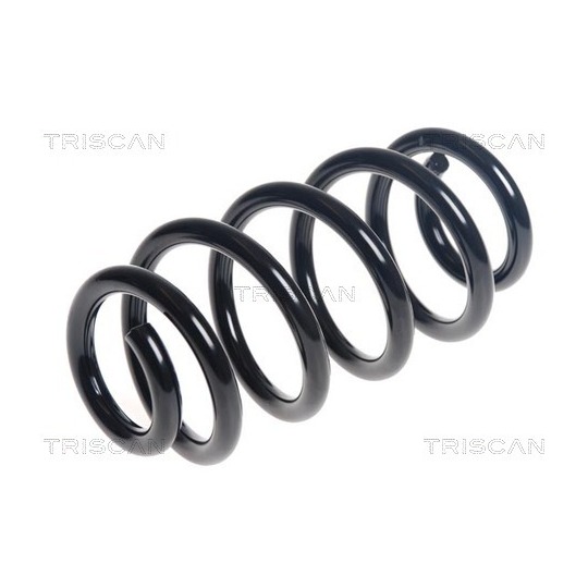 8750 11242 - Coil Spring 