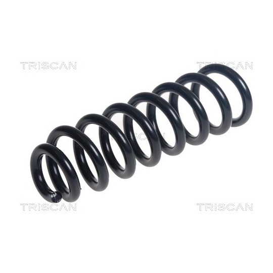 8750 23218 - Coil Spring 