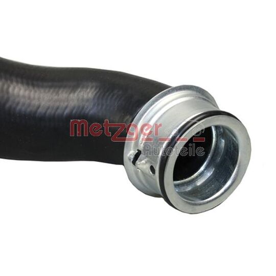 2420330 - Radiator Hose 