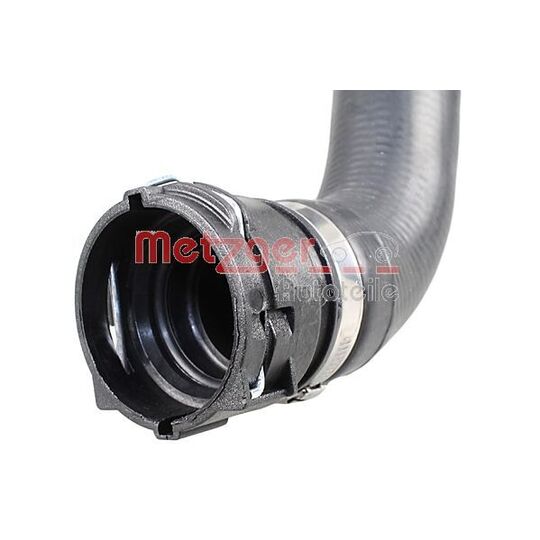 2420850 - Radiator Hose 