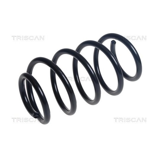 8750 16162 - Coil Spring 