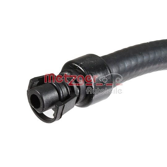 2421603 - Radiator Hose 