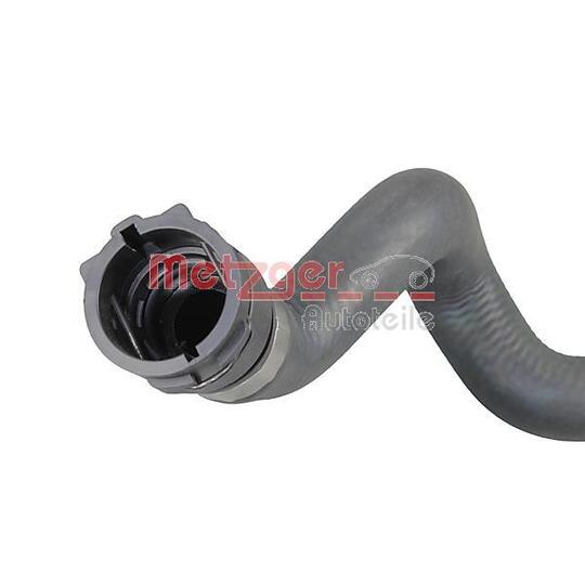 2420307 - Radiator Hose 