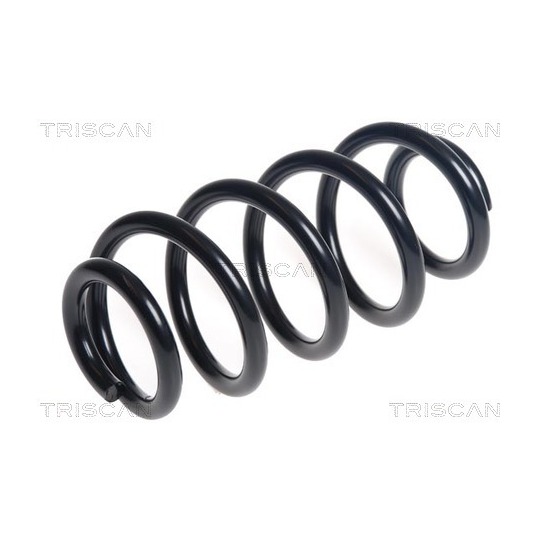 8750 11241 - Coil Spring 