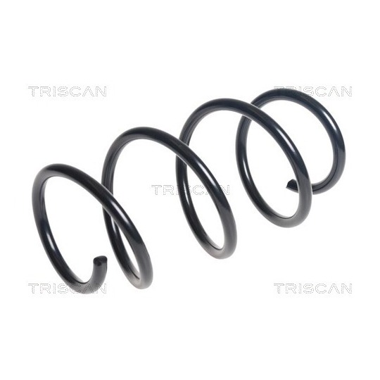 8750 11230 - Coil Spring 