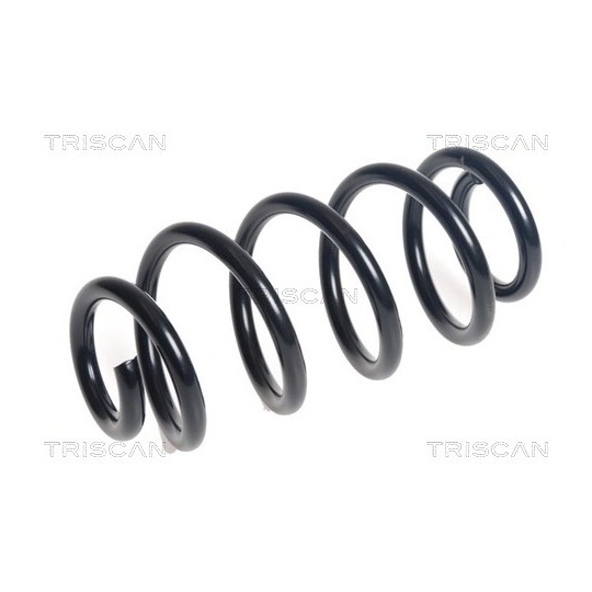 8750 11239 - Coil Spring 