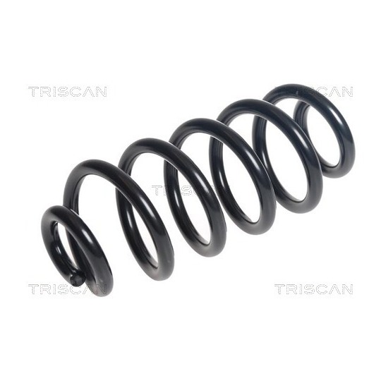 8750 14131 - Coil Spring 