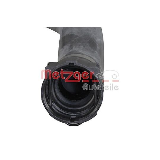 2421342 - Radiator Hose 