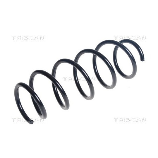 8750 16194 - Coil Spring 