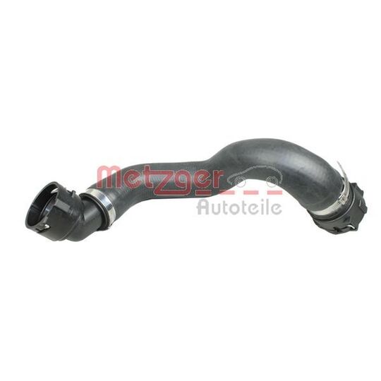 2420194 - Radiator Hose 