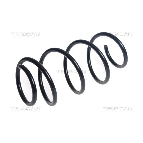 8750 43144 - Coil Spring 