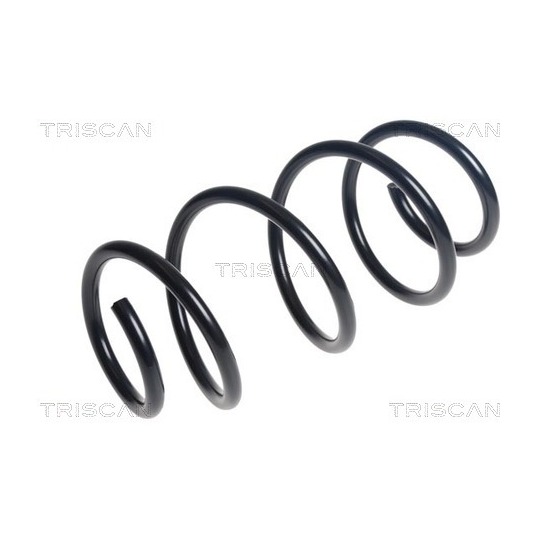 8750 29519 - Coil Spring 