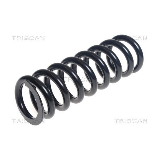 8750 50125 - Coil Spring 