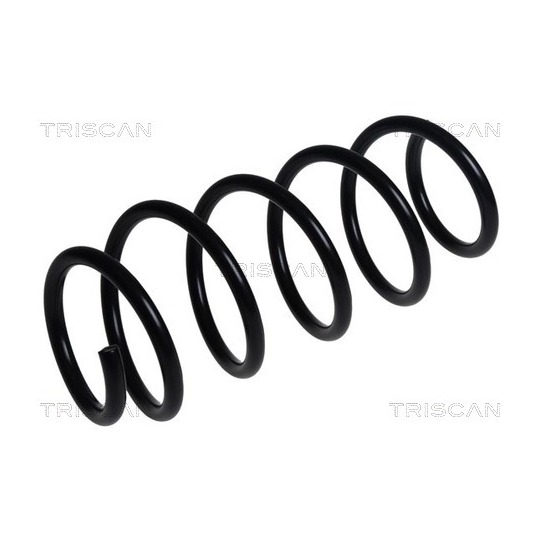 8750 16175 - Coil Spring 