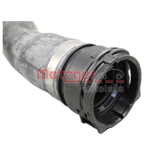 2420822 - Radiator Hose 