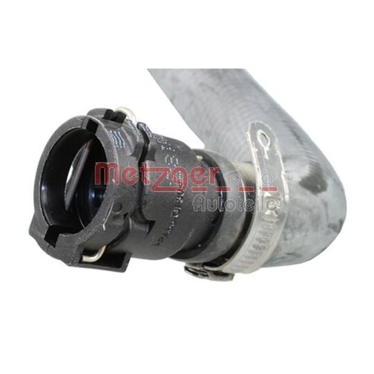 2420822 - Radiator Hose 