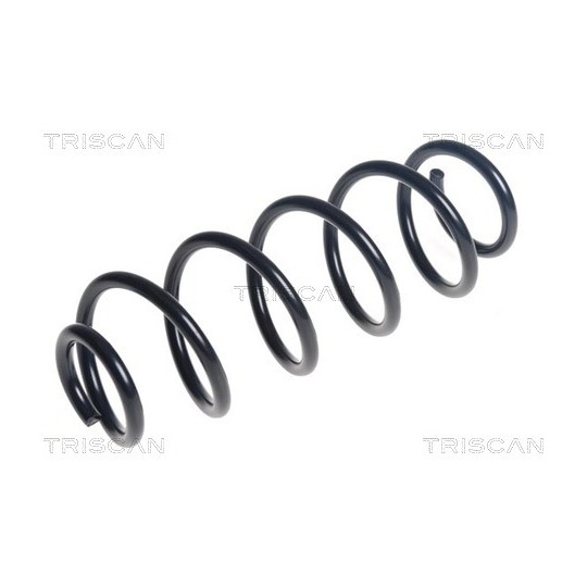 8750 29546 - Coil Spring 