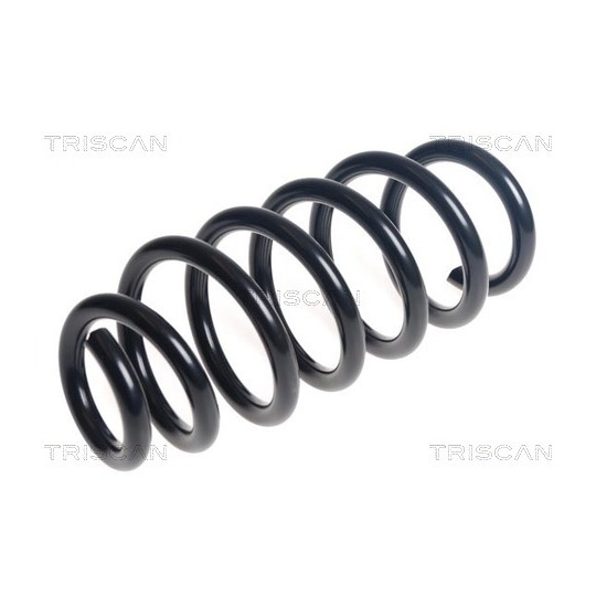 8750 27138 - Coil Spring 