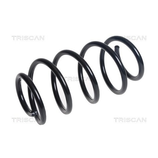 8750 16140 - Coil Spring 