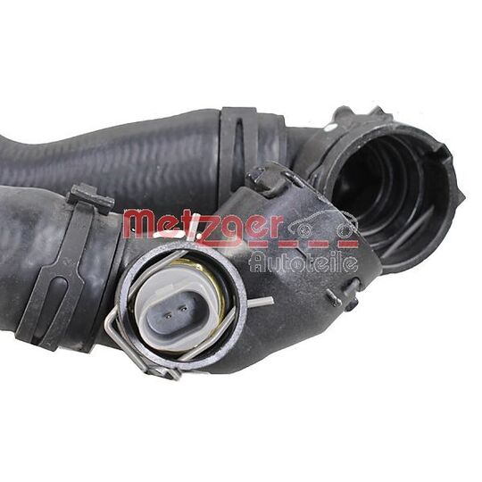 2421279 - Radiator Hose 