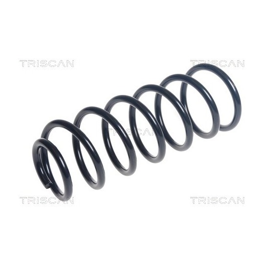 8750 43142 - Coil Spring 