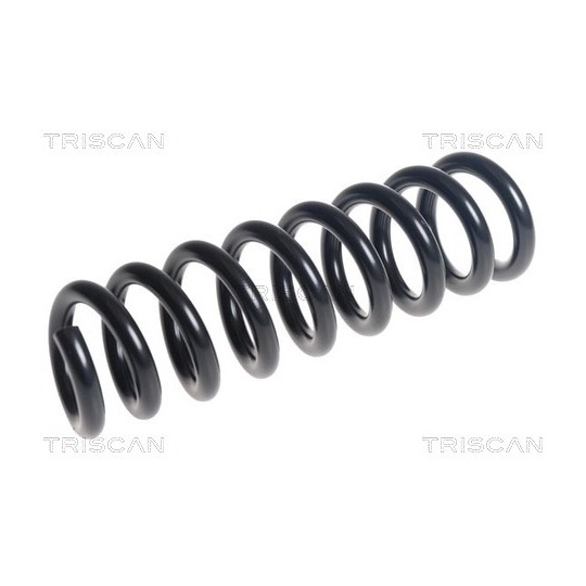 8750 11246 - Coil Spring 