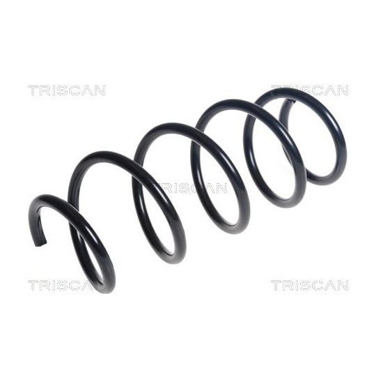 8750 16160 - Coil Spring 