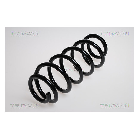 8750 29528 - Coil Spring 