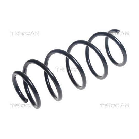 8750 50123 - Coil Spring 