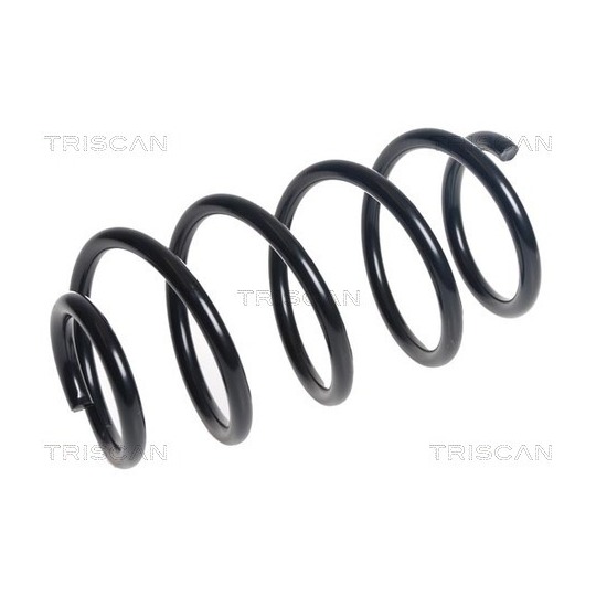 8750 16138 - Coil Spring 