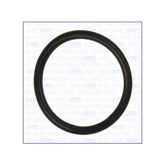 16524100 - Seal Ring, coolant pipe 