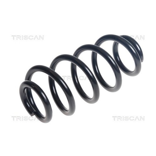 8750 11269 - Coil Spring 