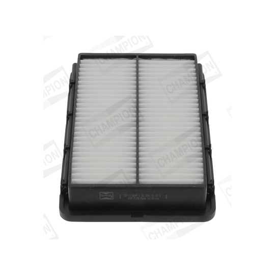 CAF101384P - Air filter 