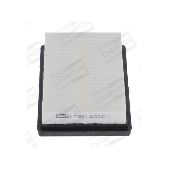 CAF101301P - Air filter 