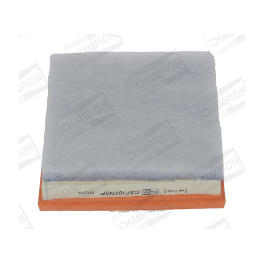 CAF101245P - Air filter 