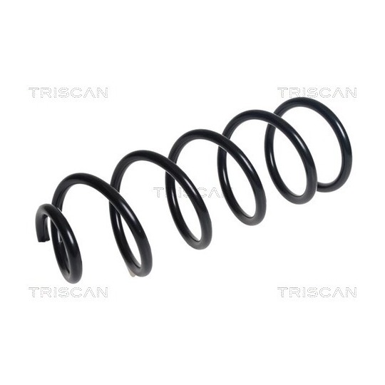 8750 50106 - Coil Spring 