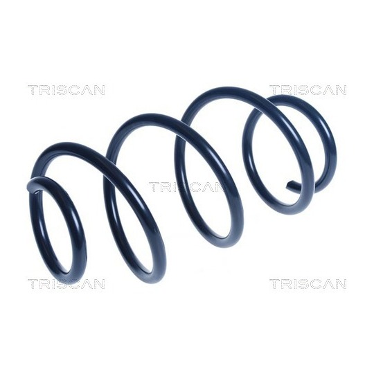 8750 50105 - Coil Spring 