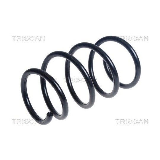 8750 25145 - Coil Spring 