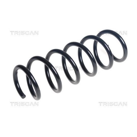 8750 11256 - Coil Spring 