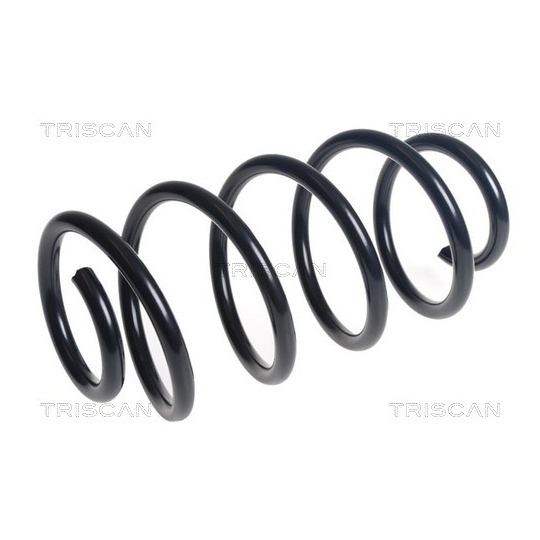 8750 16131 - Coil Spring 