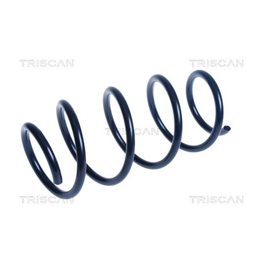 8750 14125 - Coil Spring 